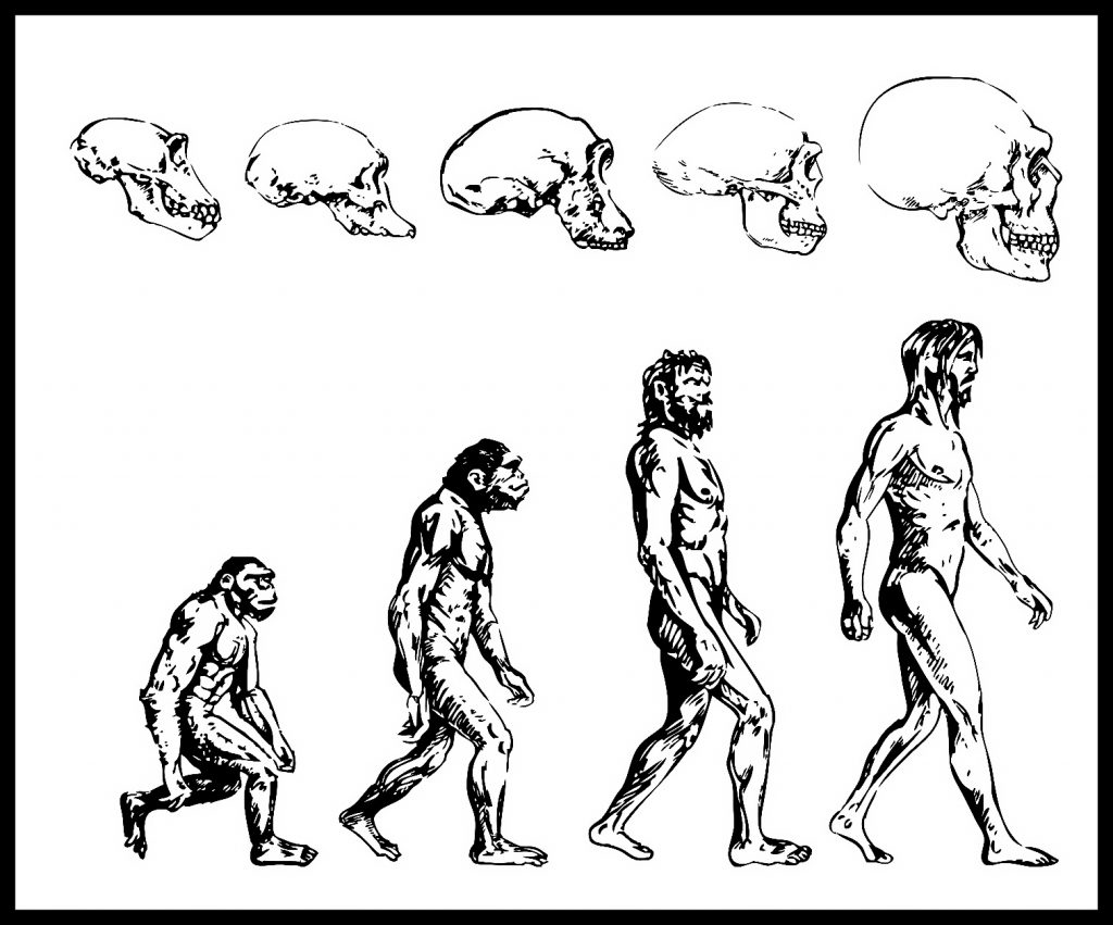Hayvanlardan Tanrılara Sapiens - İnsanlığın Gelişimi - Homo Sapiens