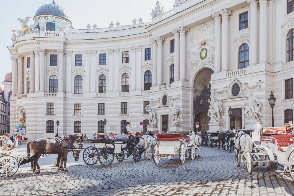 Hofburg İmparatorluk Sarayı Önü | Viyana