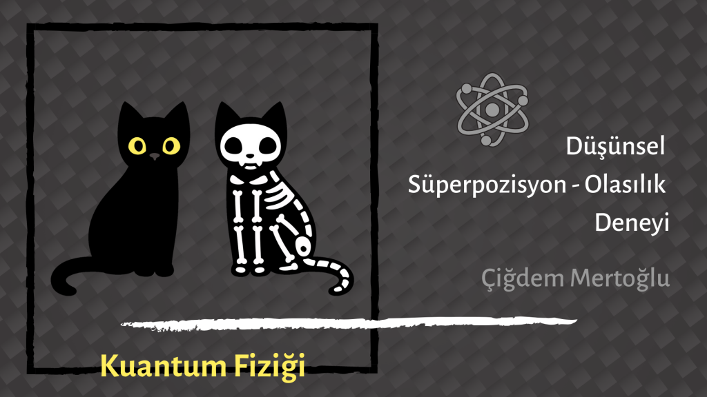 Yazı: Schrödinger ve Kedisi | Yazan: Çiğdem Mertoğlu