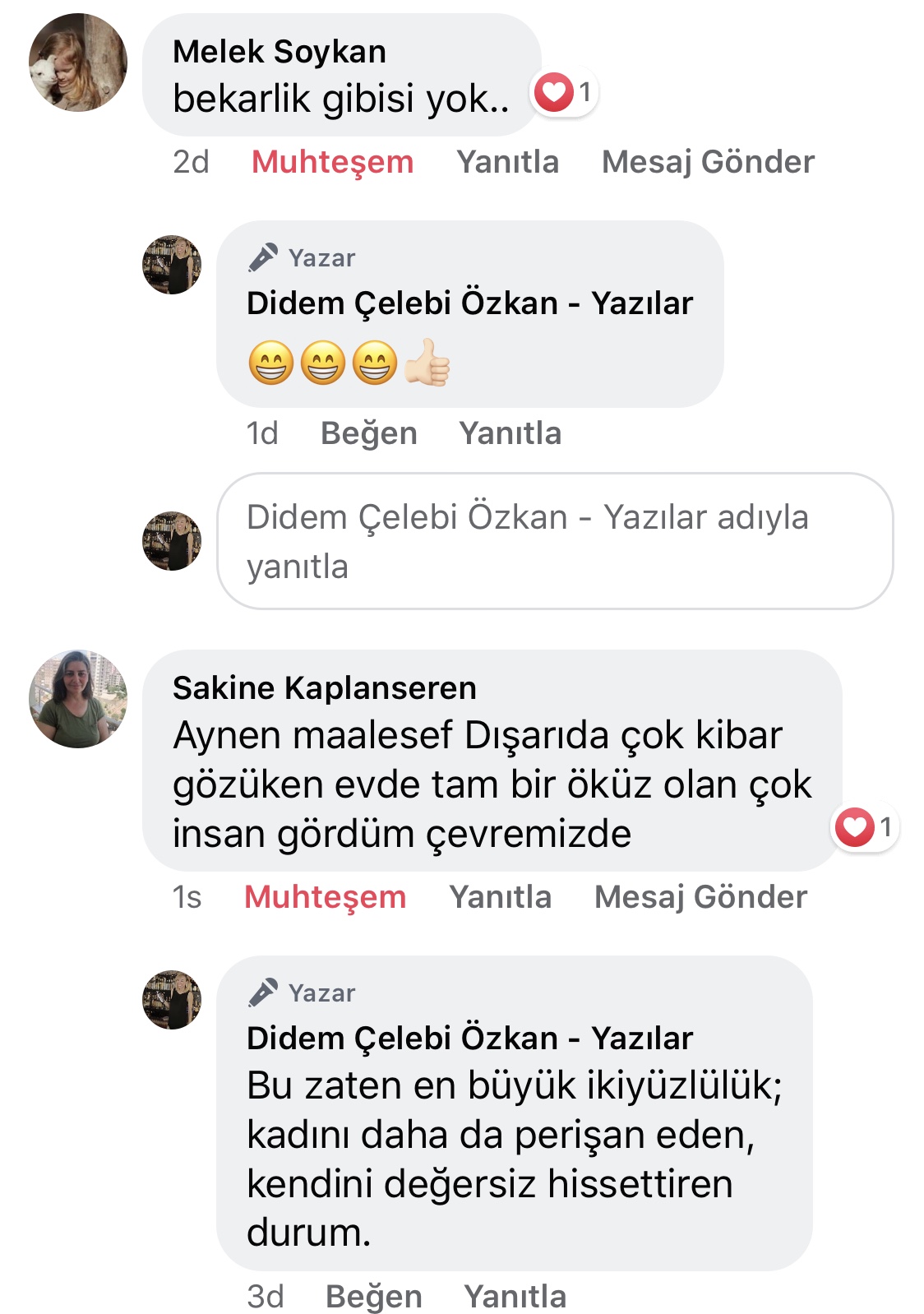 Koca! | Didem Çelebi Özkan Yazılar Facebook Sayfası Yorumları | 09