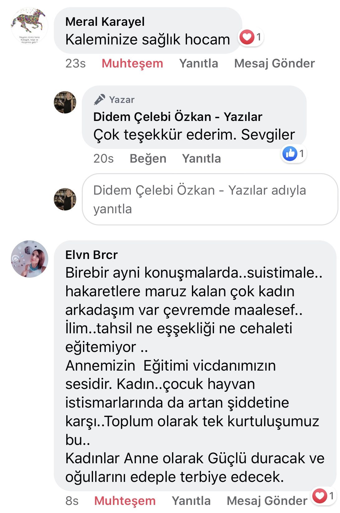 Koca! | Didem Çelebi Özkan Yazılar Facebook Sayfası Yorumları | 02