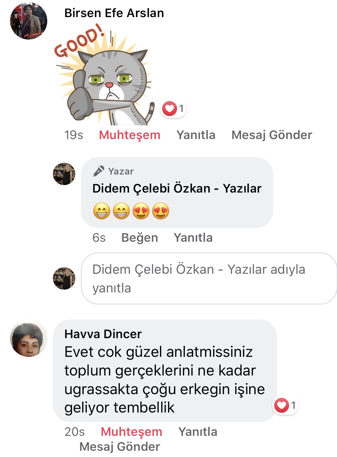 Koca! | Didem Çelebi Özkan Yazılar Facebook Sayfası Yorumları | 15