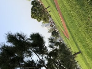 Mihraplı Park, Nilüfer, Bursa