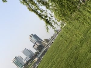 Mihraplı Park, Nilüfer, Bursa