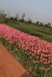 Mihraplı Park, Nilüfer, Bursa
