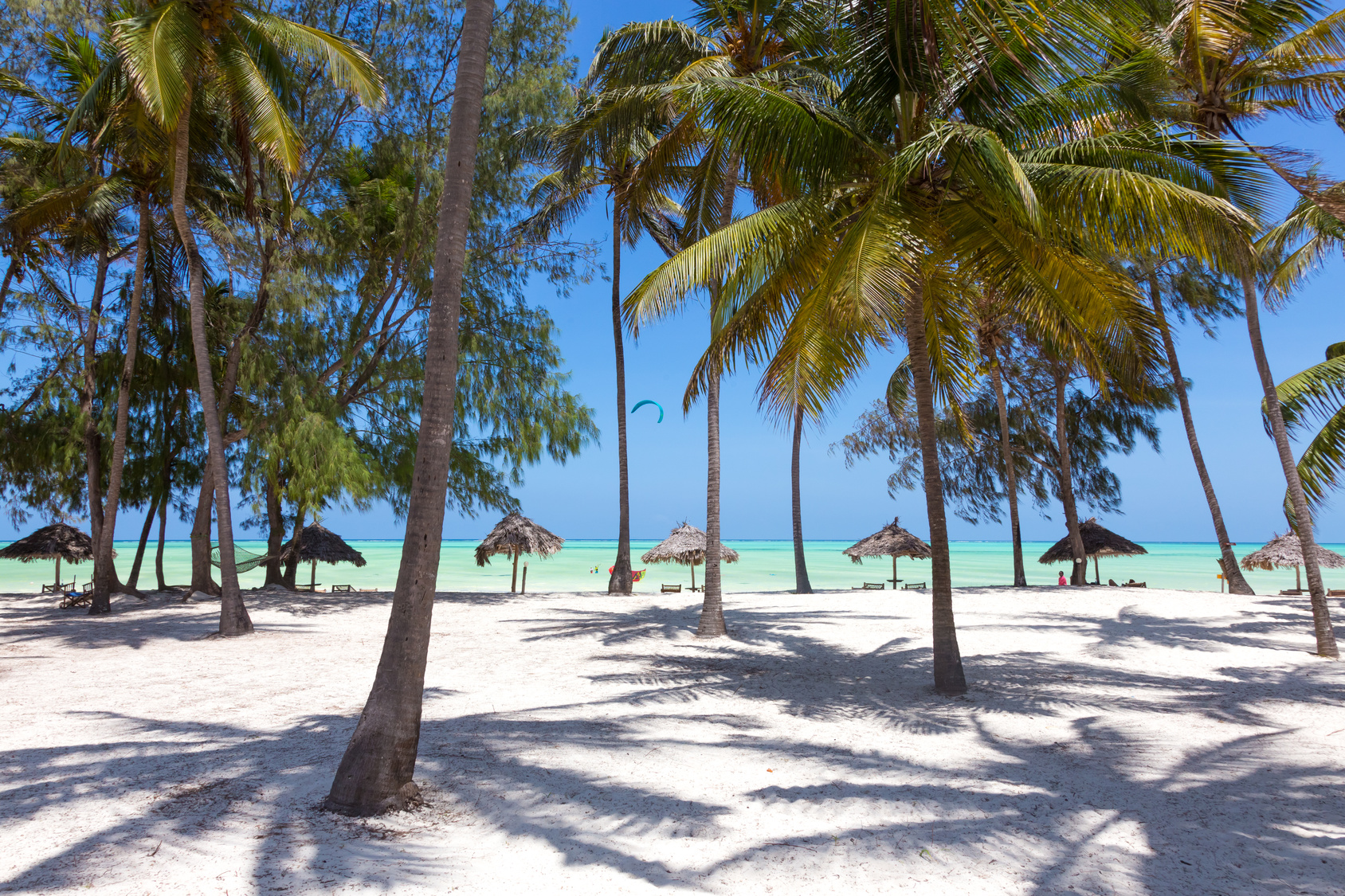 Bembeyaz kumsalı, palmiyeleri ve turkuaz rengi okyanusuyla Zamzibar, Tanzanya
