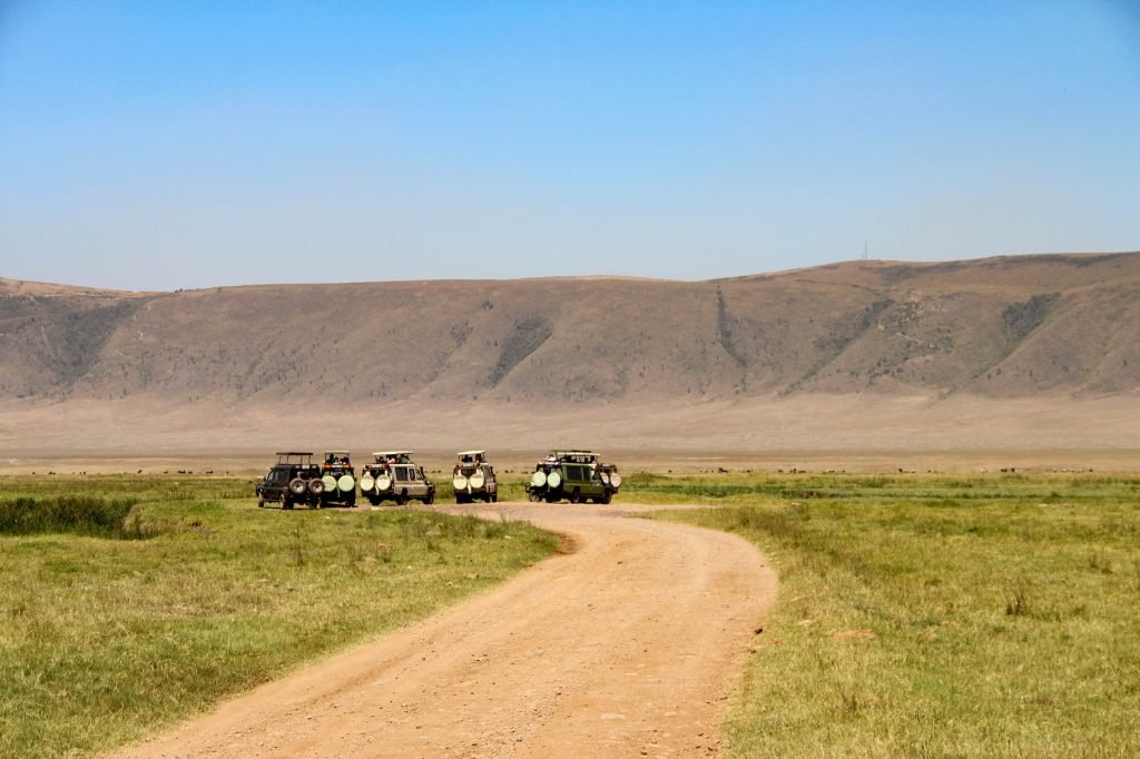Ngorongoro Krateri Doğal Koruma Parkı, Tanzanya, Safari