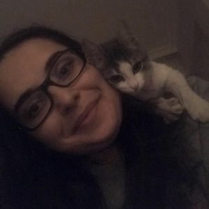 Lokum | Kedi | Tekir | Merve Çevik