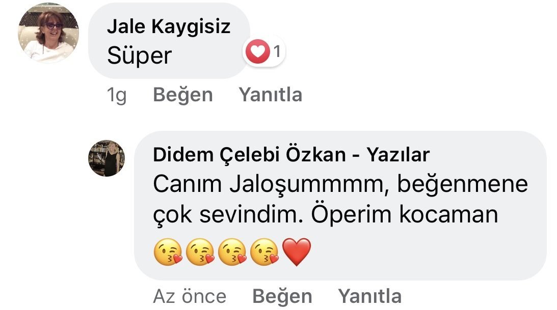 Umarım Bu Gece Öldürülmem | Didem Çelebi Özkan Facebook Yorumları | 03