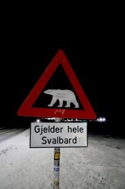 Yazı: Svalbard | Yazan: Melih Daşgın