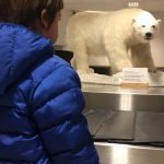 Yazı: Svalbard | Yazan: Melih Daşgın
