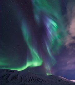 Yazı: Svalbard | Yazan: Melih Daşgın