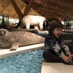 Yazı: Svalbard | Yazan: Melih Daşgın