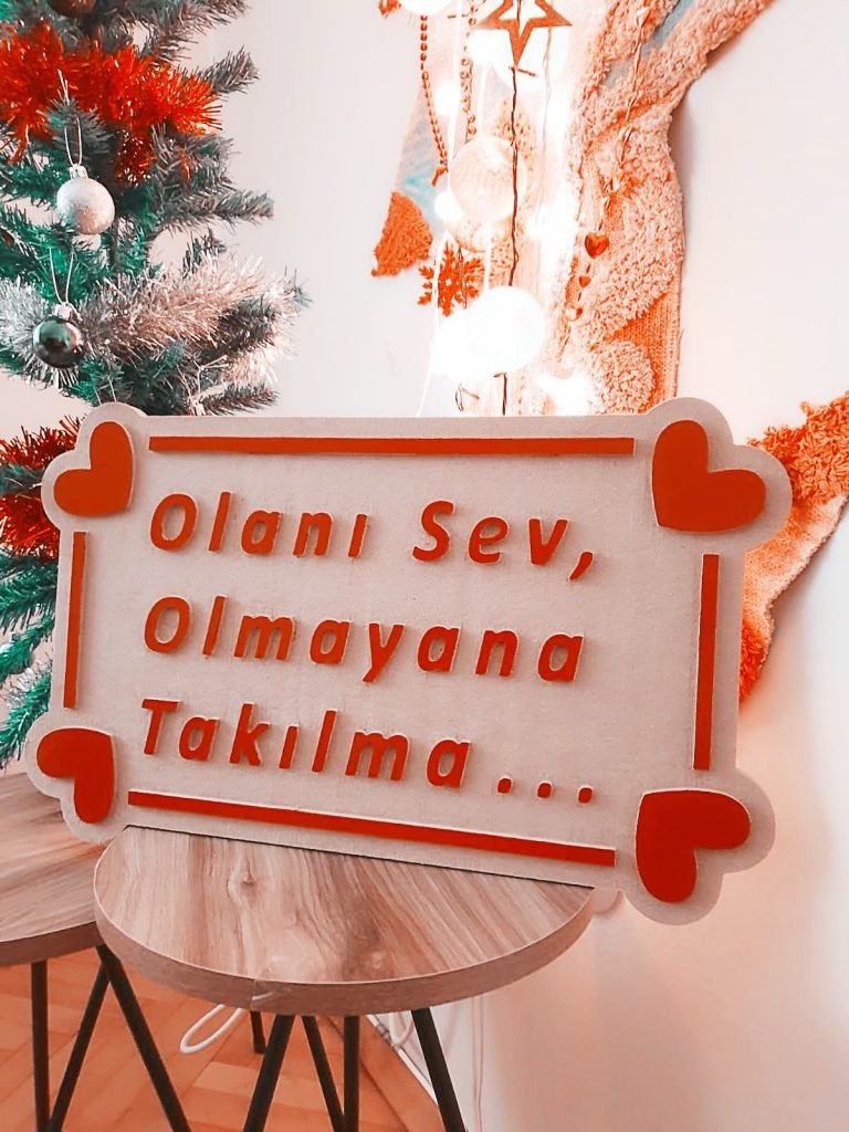 Yazı: Olanı Sev, Olmayana Takılma | Yazan: Nurdan Yılmaztürk