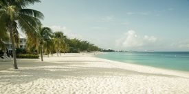 Yazı: Grand Cayman | Yazan: Emel Erem