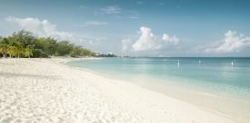 Yazı: Grand Cayman | Yazan: Emel Erem