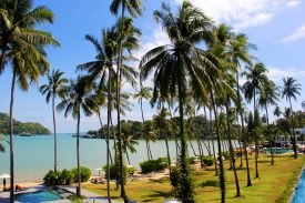 Yazı: Phuket | Yazan: Melih Daşgın