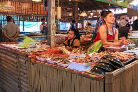 Yazı: Phuket | Yazan: Melih Daşgın