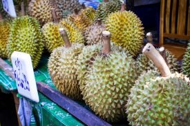 Yazı: Phuket | Yazan: Melih Daşgın