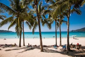 Yazı: Phuket | Yazan: Melih Daşgın