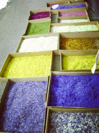 Yazı: Spello’da Infiorata Şenliği | Yazan: Pelin Öncüoğlu