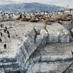 Yazı: Ushuaia | Dünya'nın Sonundaki Fener | Yazan: Pelin Öncüoğlu Işık
