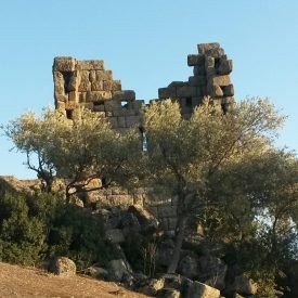 Yazı: Sekiz bin yıllık miras: Herakleia