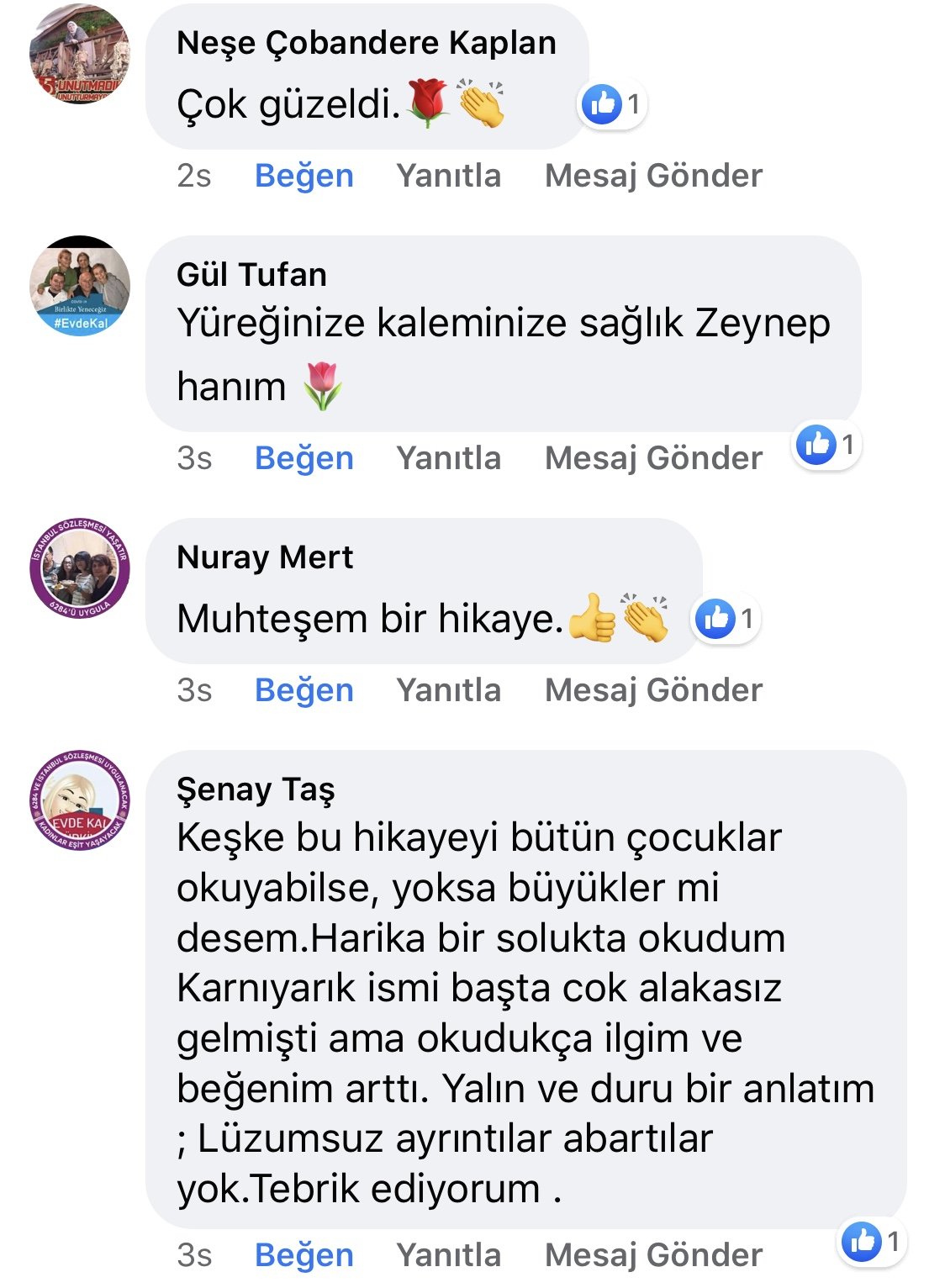 Karnıyarık | Zeynep Mete | SenVeBen Facebook Sayfası Yorumları | 02