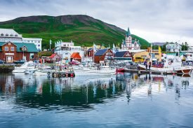 Yazı: Husavik | İzlanda’da Balina Gözlemi | Yazan: Pelin Öncüoğlu Işık