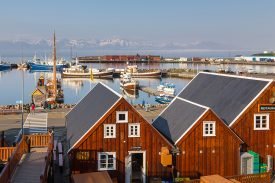 Yazı: Husavik | İzlanda’da Balina Gözlemi | Yazan: Pelin Öncüoğlu Işık