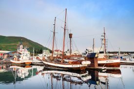 Yazı: Husavik | İzlanda’da Balina Gözlemi | Yazan: Pelin Öncüoğlu Işık