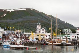 Yazı: Husavik | İzlanda’da Balina Gözlemi | Yazan: Pelin Öncüoğlu Işık