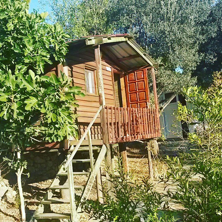 Alınca, Catchy Camping