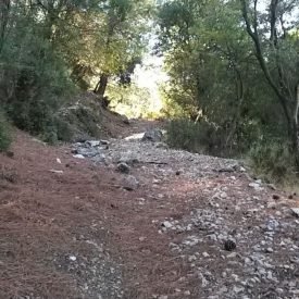 Yazı: Alınca Yürüyüşü | Yazar: Burak Süalp