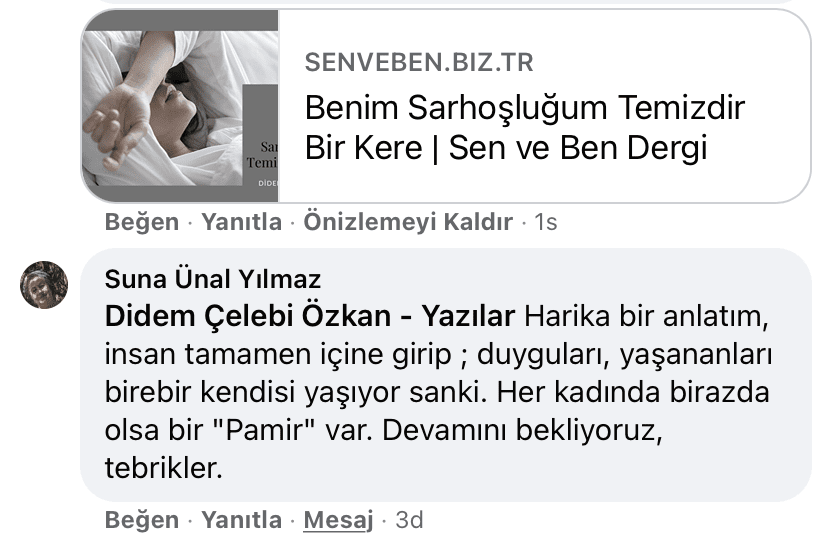 Benim Sarhoşluğum Temizdir Bir Kere | Didem Çelebi Özkan Yazılar Facebook Sayfası Yorumları | 02