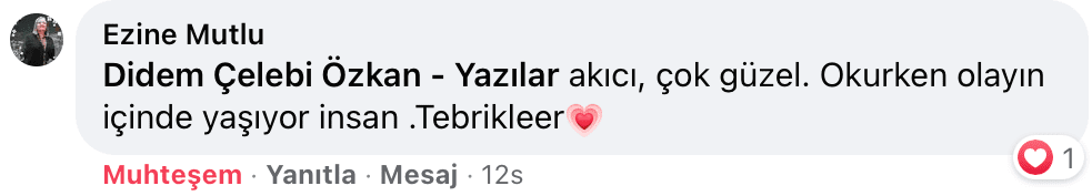 Belki Şimdi Doğru Zamandır | Didem Çelebi Özkan Yazılar Facebook Sayfası Yorumları | 03
