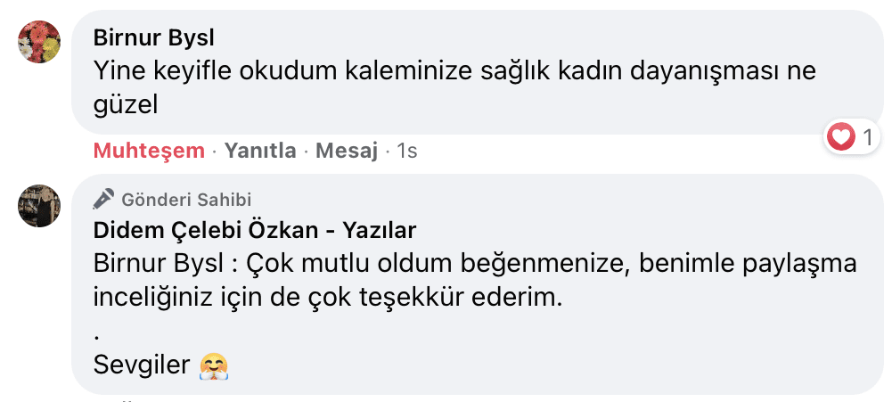 Benim Sarhoşluğum Temizdir Bir Kere | Didem Çelebi Özkan Yazılar Facebook Sayfası Yorumları | 03