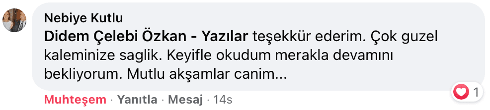 Belki Şimdi Doğru Zamandır | Didem Çelebi Özkan Yazılar Facebook Sayfası Yorumları | 04