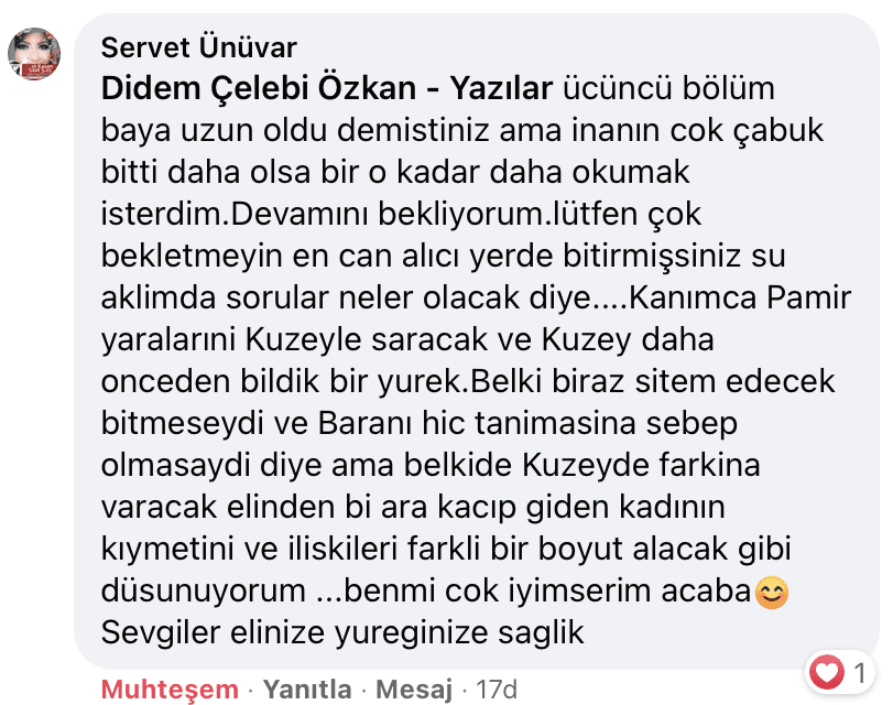 Benim Sarhoşluğum Temizdir Bir Kere | Didem Çelebi Özkan Yazılar Facebook Sayfası Yorumları | 04