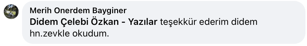 Belki Şimdi Doğru Zamandır | Didem Çelebi Özkan Yazılar Facebook Sayfası Yorumları | 05