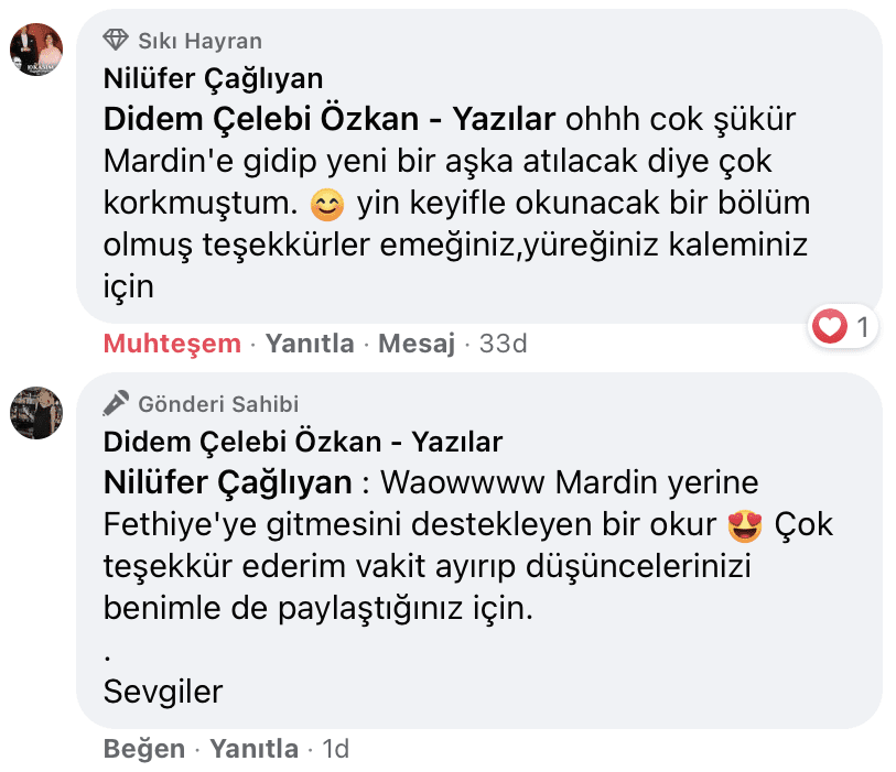 Benim Sarhoşluğum Temizdir Bir Kere | Didem Çelebi Özkan Yazılar Facebook Sayfası Yorumları | 06