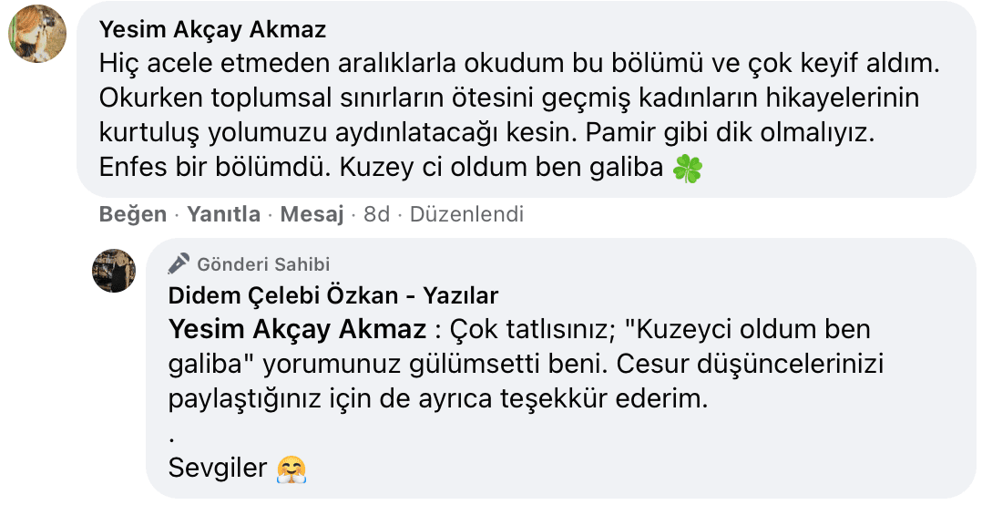 Benim Sarhoşluğum Temizdir Bir Kere | Didem Çelebi Özkan Yazılar Facebook Sayfası Yorumları | 08