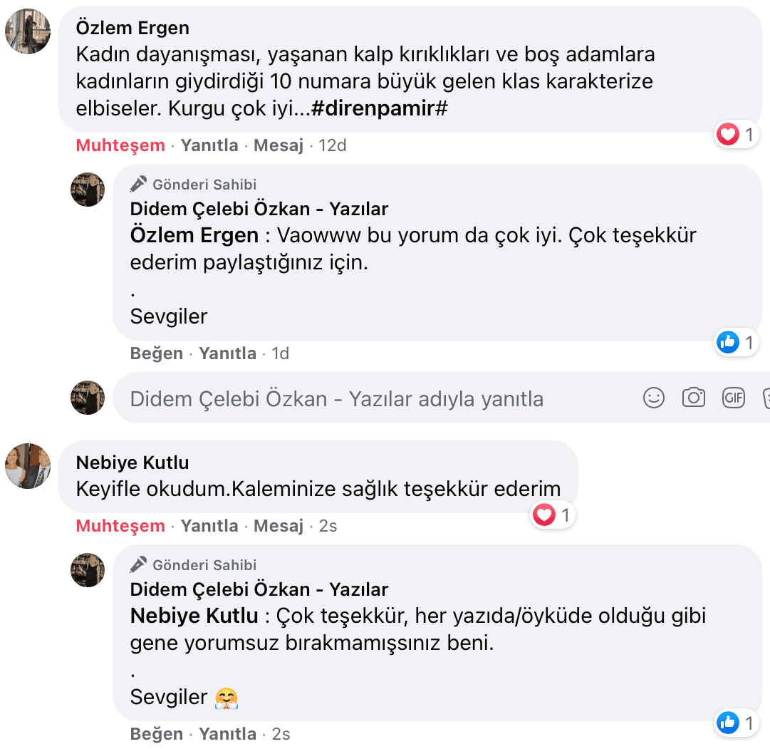 Benim Sarhoşluğum Temizdir Bir Kere | Didem Çelebi Özkan Yazılar Facebook Sayfası Yorumları | 10