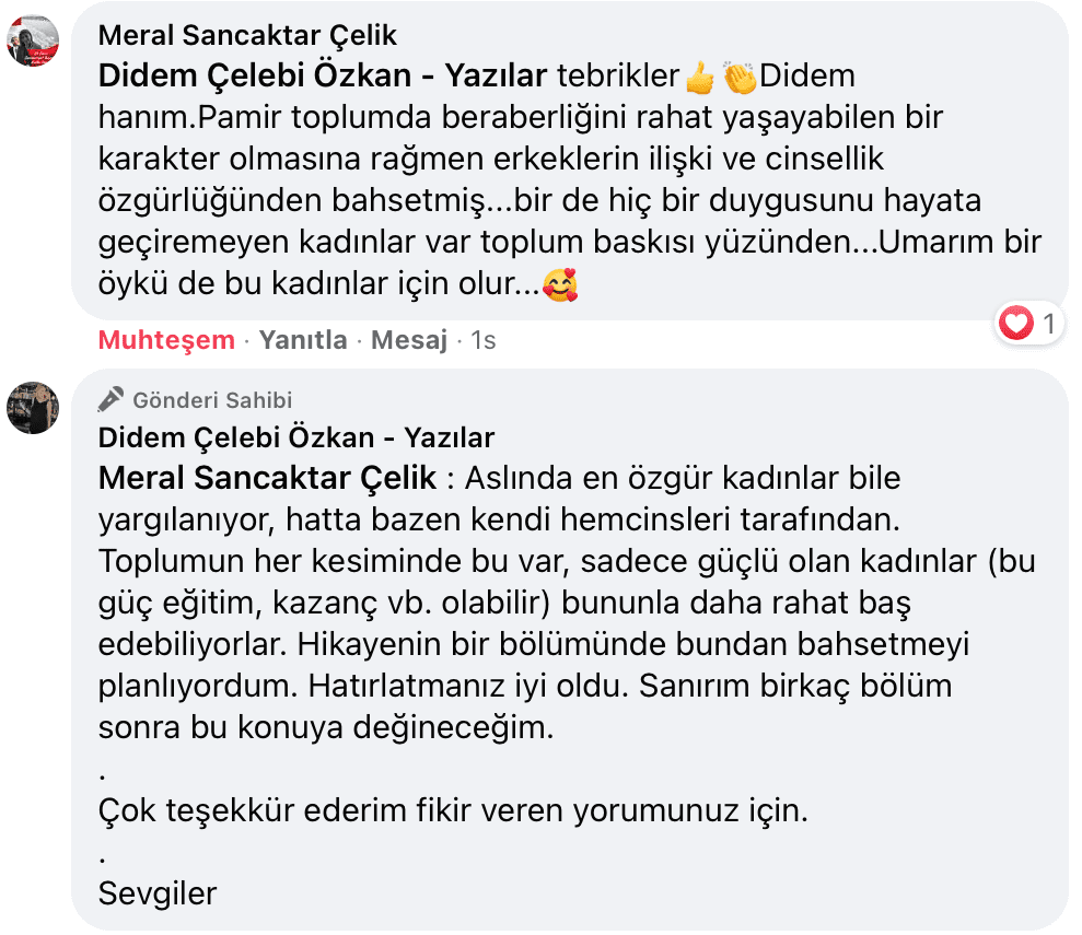 Benim Sarhoşluğum Temizdir Bir Kere | Didem Çelebi Özkan Yazılar Facebook Sayfası Yorumları | 11
