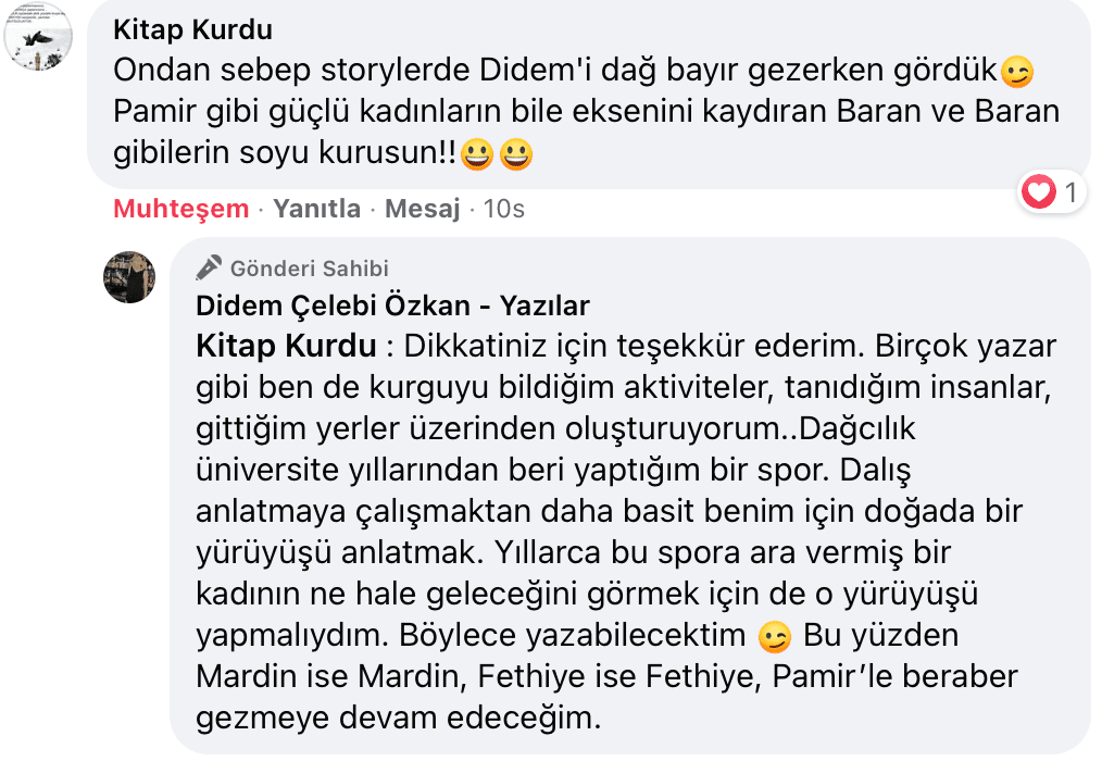 Benim Sarhoşluğum Temizdir Bir Kere | Didem Çelebi Özkan Yazılar Facebook Sayfası Yorumları | 12