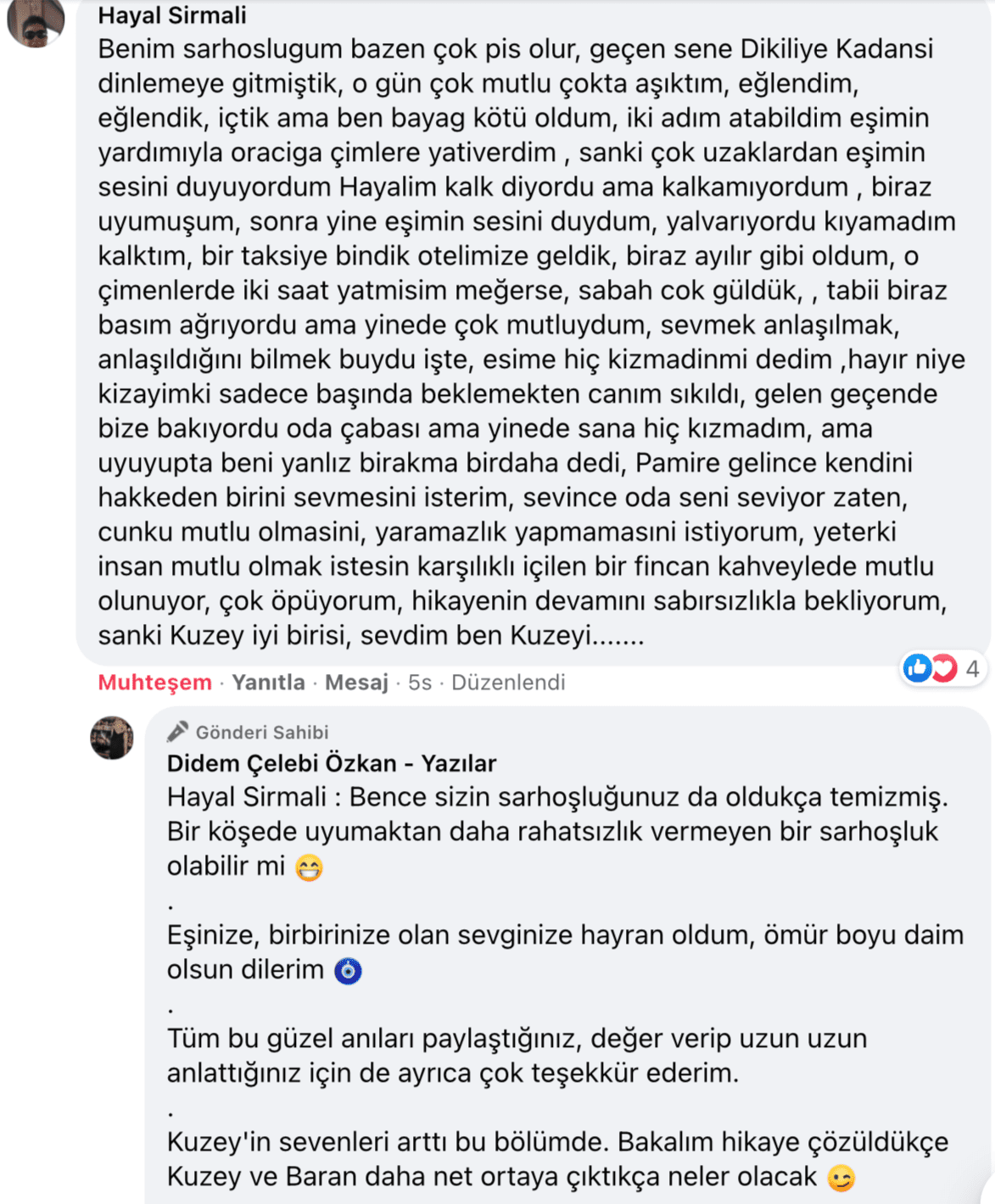 Benim Sarhoşluğum Temizdir Bir Kere | Didem Çelebi Özkan Yazılar Facebook Sayfası Yorumları | 14