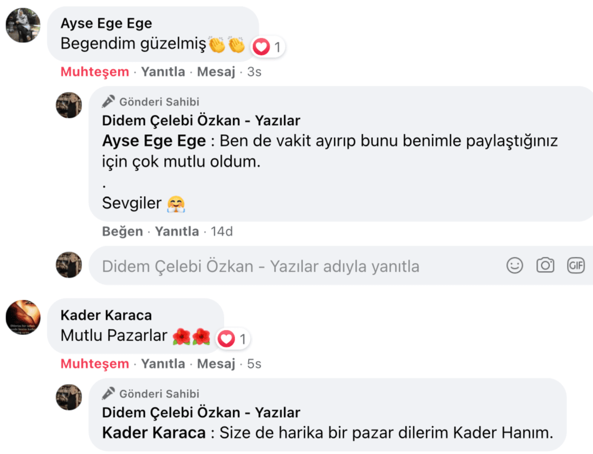Benim Sarhoşluğum Temizdir Bir Kere | Didem Çelebi Özkan Yazılar Facebook Sayfası Yorumları | 15
