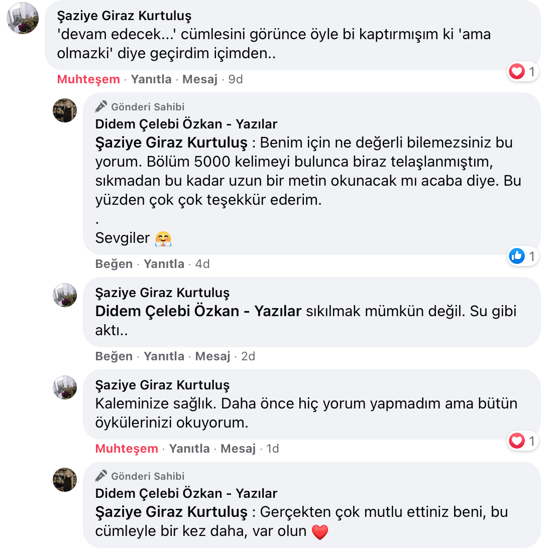 Benim Sarhoşluğum Temizdir Bir Kere | Didem Çelebi Özkan Yazılar Facebook Sayfası Yorumları | 17