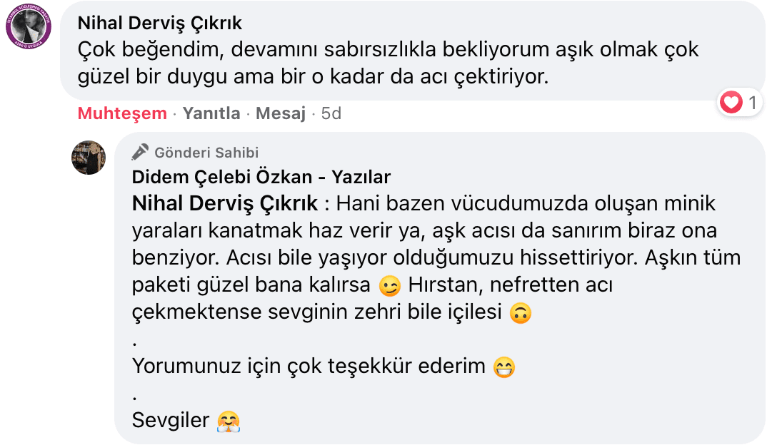 Benim Sarhoşluğum Temizdir Bir Kere | Didem Çelebi Özkan Yazılar Facebook Sayfası Yorumları | 18