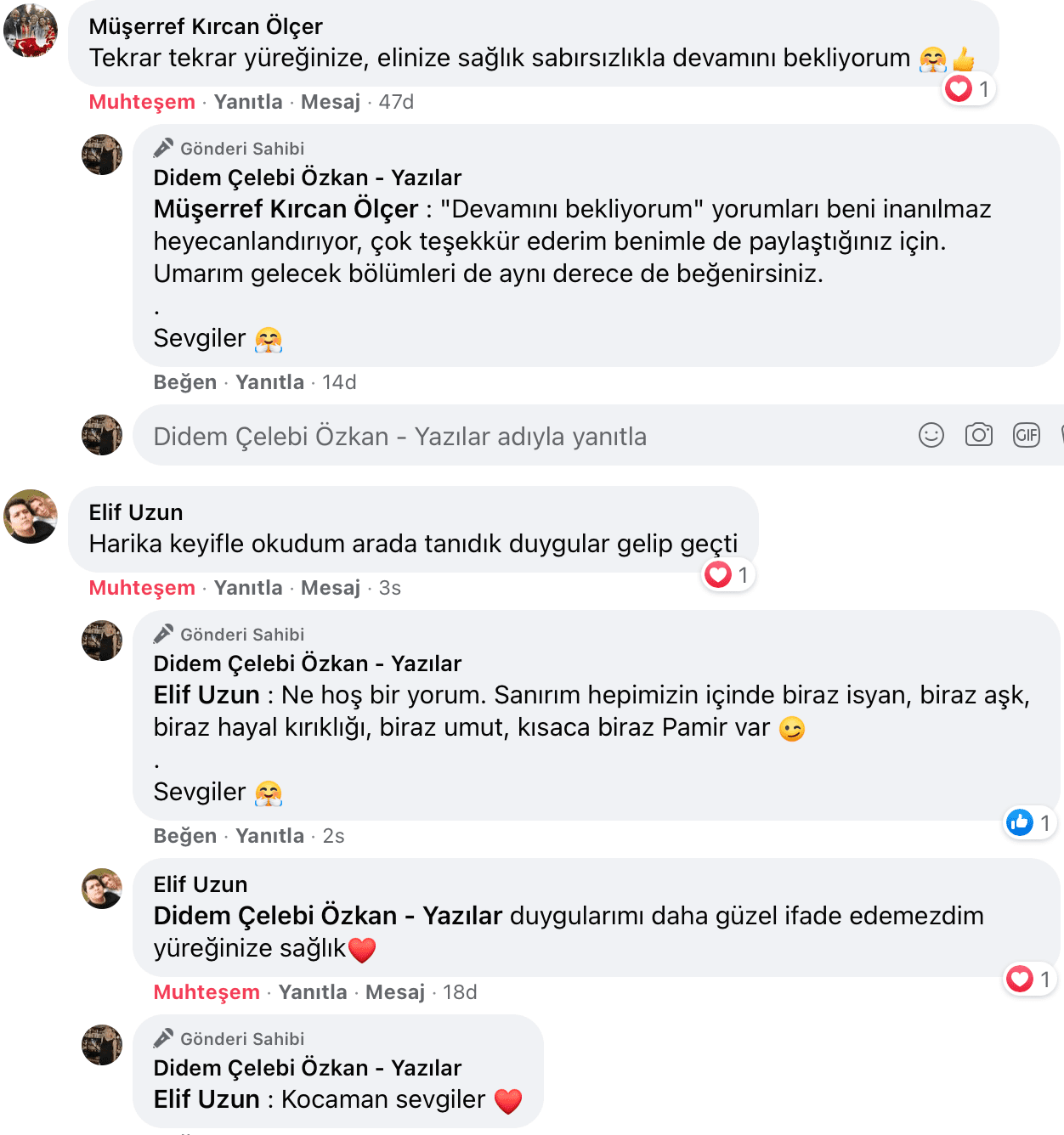 Benim Sarhoşluğum Temizdir Bir Kere | Didem Çelebi Özkan Yazılar Facebook Sayfası Yorumları | 20